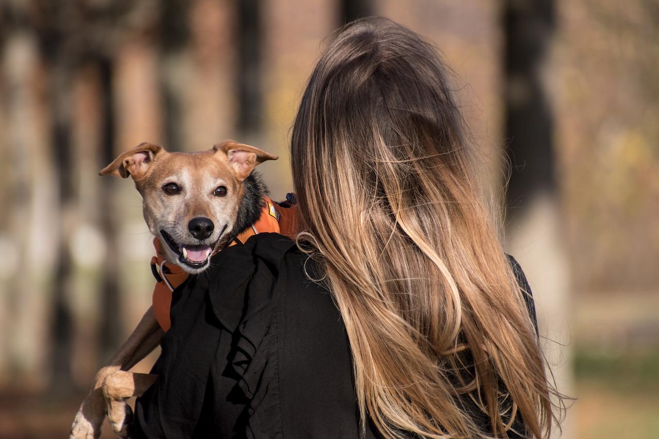 A person carrying her pet dog for an event. 